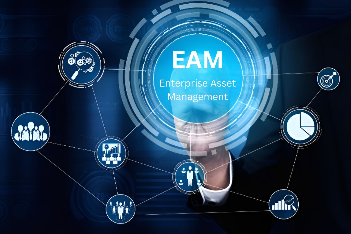Expansive SAP Optimization Audits, Testing, and EAM